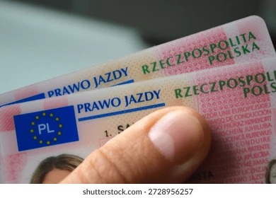 Kup prawo jazdy D1 w Polsce